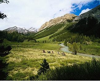 《红霞岛》预载开启 游戏容量曝光：PC版103.19GB