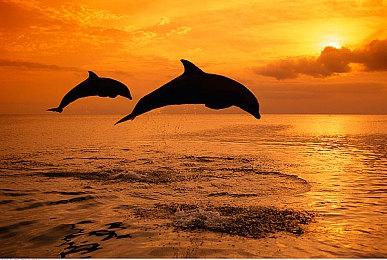 《受折磨的灵魂2》即将发售 美女主角大战怪物